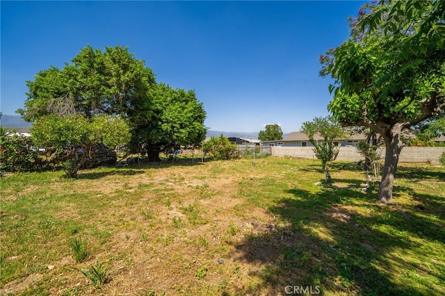 1963 Turrill Ave, San Bernardino, CA 92411 - view of yard