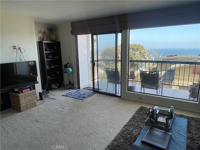 4041 Bluff Pl Unit 2, San Pedro, CA 90731 - living area with carpet flooring