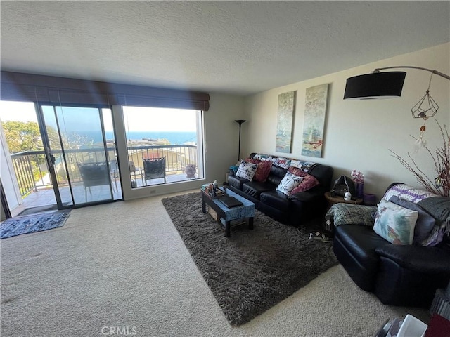 4041 Bluff Pl Unit 2, San Pedro, CA 90731 - living room featuring carpet floors and a textured ceiling