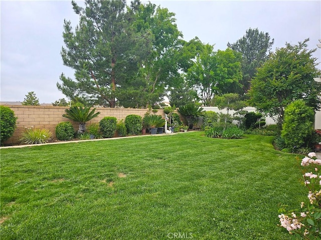 197 Potter Crk, Beaumont, CA 92223 - view of yard