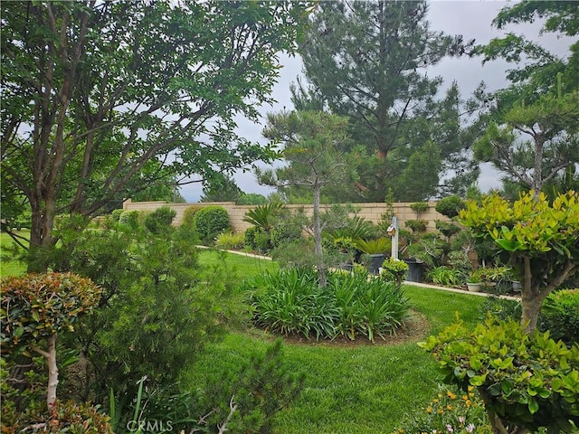 197 Potter Crk, Beaumont, CA 92223 - view of yard