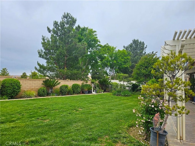 197 Potter Crk, Beaumont, CA 92223 - view of yard