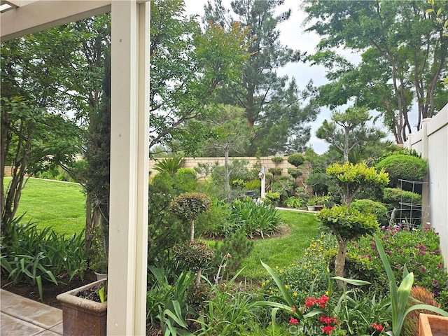 197 Potter Crk, Beaumont, CA 92223 - view of yard