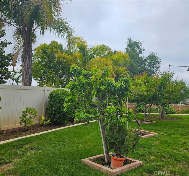 197 Potter Crk, Beaumont, CA 92223 - view of yard
