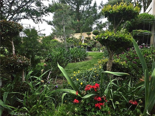 197 Potter Crk, Beaumont, CA 92223 - view of yard