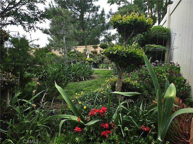 197 Potter Crk, Beaumont, CA 92223 - view of yard