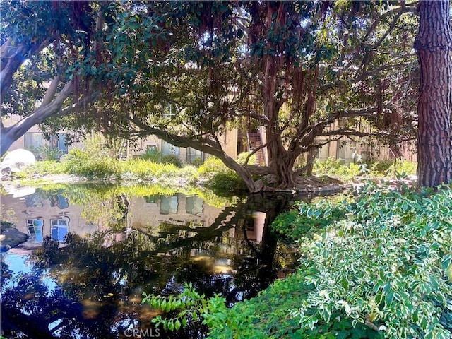 7890 E Spring St Unit 18D, Long Beach, CA 90815 - view of yard