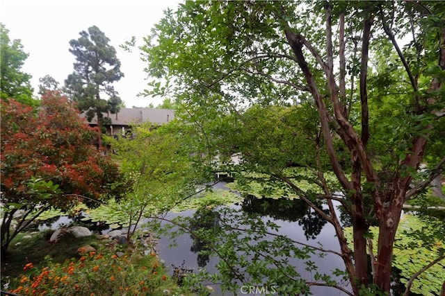 7890 E Spring St Unit 18D, Long Beach, CA 90815 - view of local wilderness