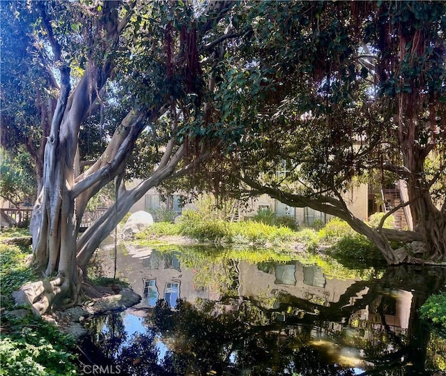 7890 E Spring St Unit 18D, Long Beach, CA 90815 - view of local wilderness