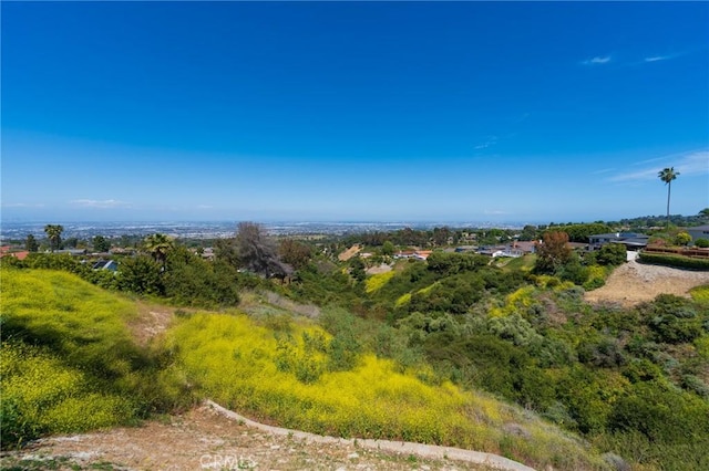 27138 Diamondhead Ln, Rancho Palos Verdes, CA 90275 - photo 40