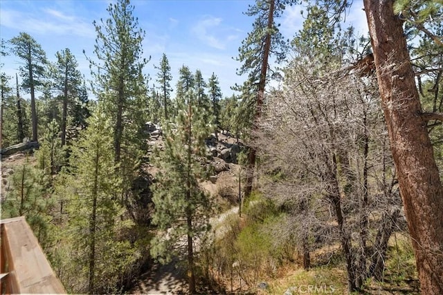 38855 Big Bear Blvd, Big Bear Lake, CA 92315 - view of wooded area