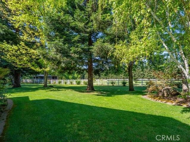 25179 68th Ave, Los Molinos, CA 96055 - view of yard