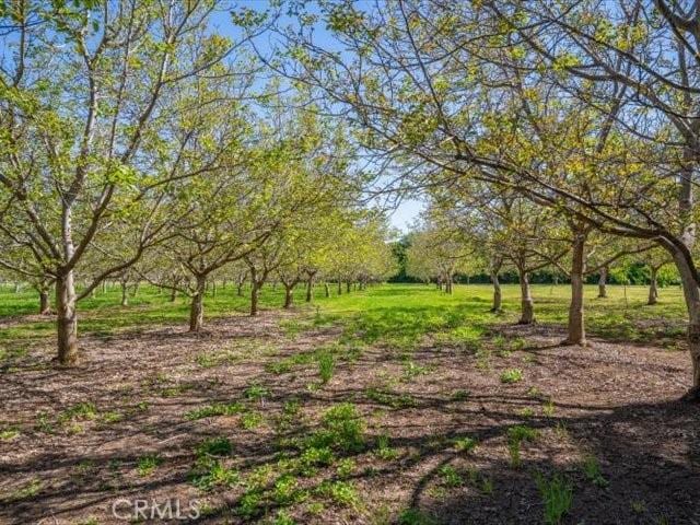 25179 68th Ave, Los Molinos, CA 96055 - view of yard