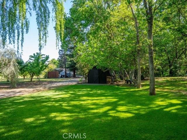 25179 68th Ave, Los Molinos, CA 96055 - view of green lawn with an outbuilding and a storage shed