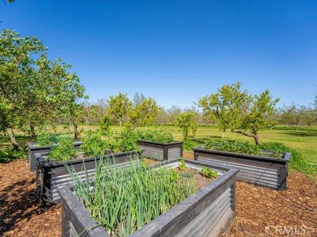 25179 68th Ave, Los Molinos, CA 96055 - view of property's community with a garden