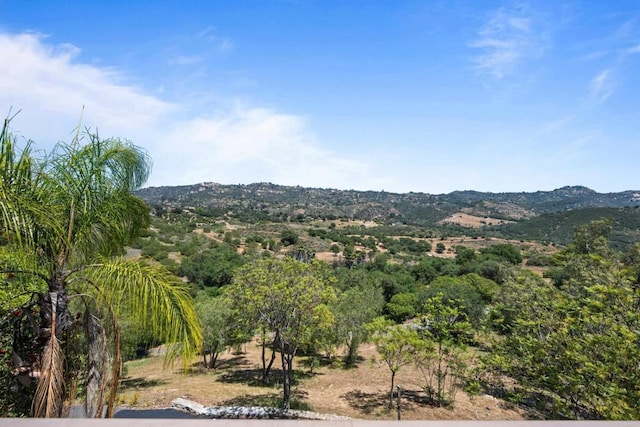 979 Canyon Heights Rd, Fallbrook, CA 92028 - mountain view