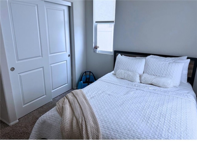 31832 Gimbal Way, Winchester, CA 92596 - bedroom with carpet floors and a closet