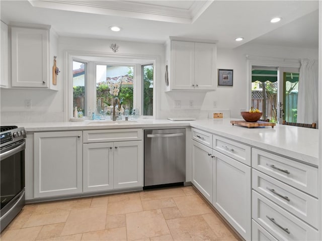 24822 Cutter, Laguna Niguel, CA 92677 - kitchen featuring stainless steel appliances, a sink, a tray ceiling, healthy amount of natural light, and recessed lighting