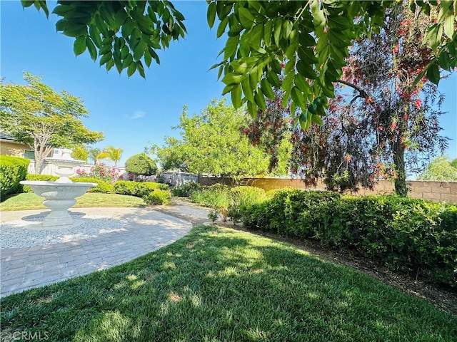 40973 Cebu Dr, Temecula, CA 92591 - view of yard
