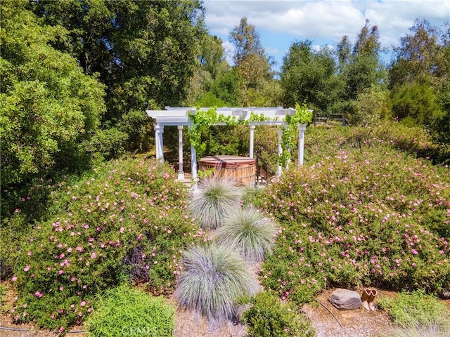 40485 Via Caballos, Murrieta, CA 92562 - photo 48