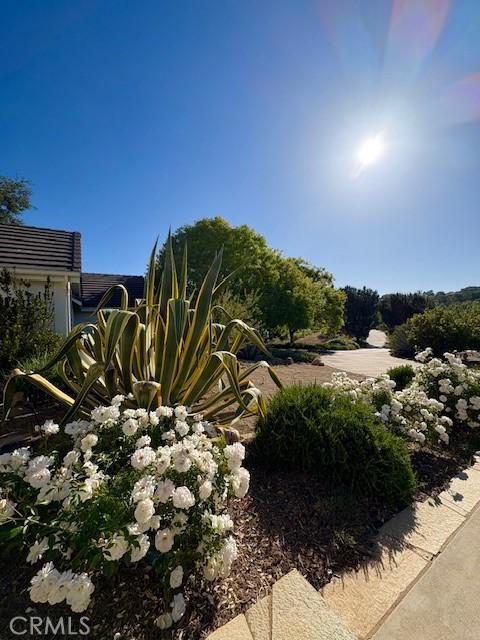 40485 Via Caballos, Murrieta, CA 92562 - photo 9