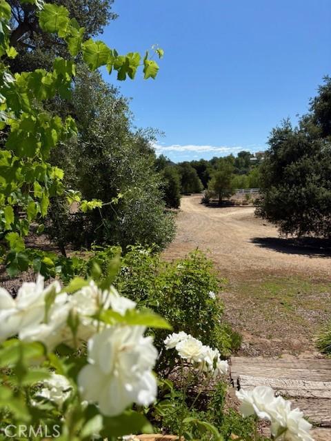 40485 Via Caballos, Murrieta, CA 92562 - photo 62