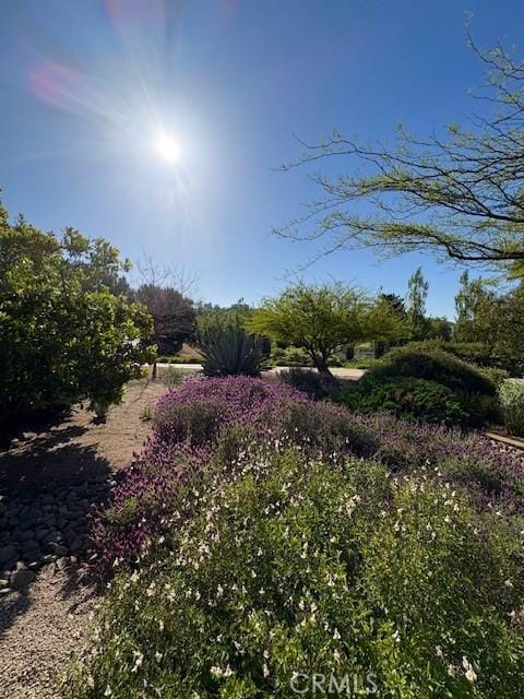 40485 Via Caballos, Murrieta, CA 92562 - photo 10