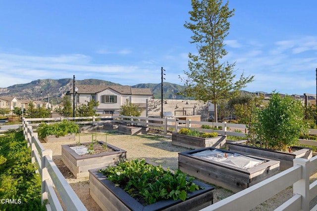 345 Allen Dr, Santa Paula, CA 93060 - exterior space featuring a mountain view and a vegetable garden