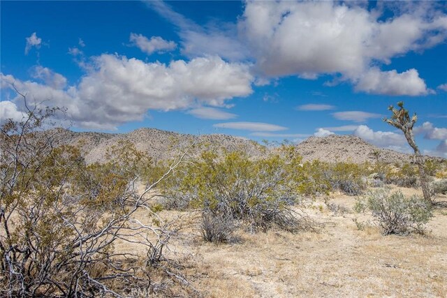 4444 Skyline Dr, Joshua Tree, CA 92252