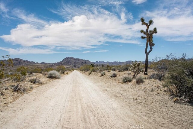 4444 Skyline Dr, Joshua Tree, CA 92252