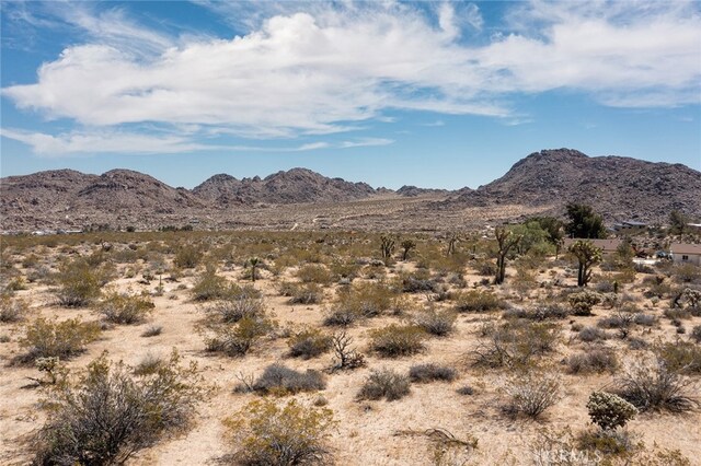 4444 Skyline Dr, Joshua Tree, CA 92252