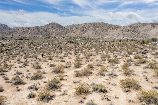 4444 Skyline Dr, Joshua Tree, CA 92252