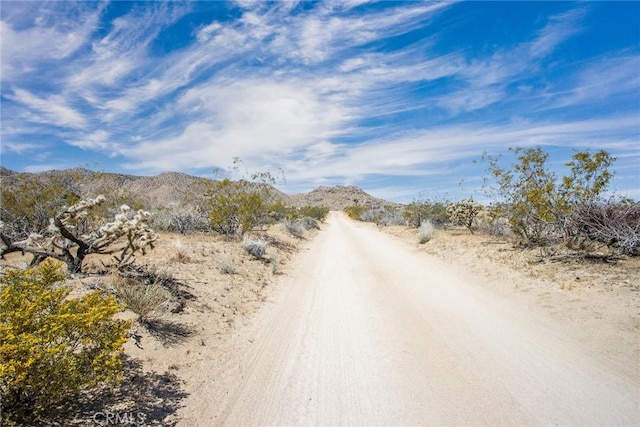 4444 Skyline Dr, Joshua Tree, CA 92252