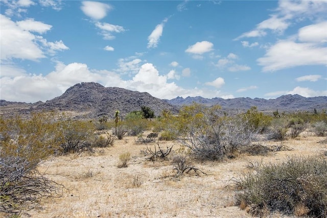 4444 Skyline Dr, Joshua Tree, CA 92252