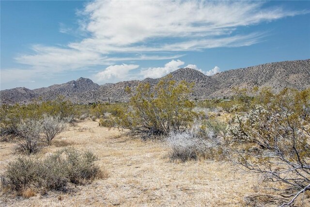 4444 Skyline Dr, Joshua Tree, CA 92252
