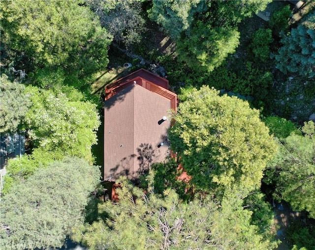 26258 Lake Forest Dr, Twin Peaks, CA 92391 - photo 39