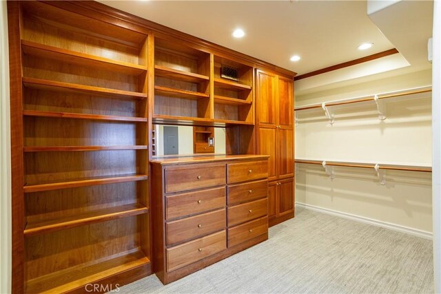 24352 Santa Clara Ave, Dana Point, CA 92629 - walk in closet featuring light colored carpet