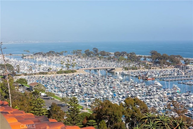24352 Santa Clara Ave, Dana Point, CA 92629 - water view with numerous boat docks