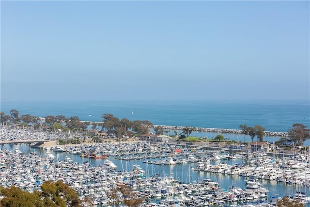 24352 Santa Clara Ave, Dana Point, CA 92629 - water view featuring numerous boat docks