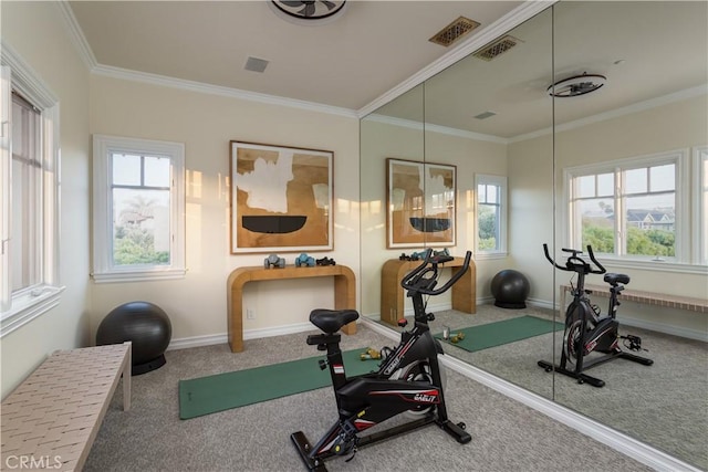 24352 Santa Clara Ave, Dana Point, CA 92629 - workout room with ornamental molding and carpet floors