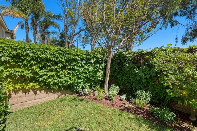 8542 E Heatherview Ln, Orange, CA 92869 - view of yard