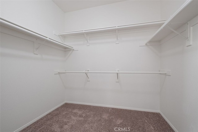 8542 E Heatherview Ln, Orange, CA 92869 - walk in closet with carpet flooring