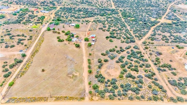 8288 White Rd, Phelan, CA 92371 - drone / aerial view