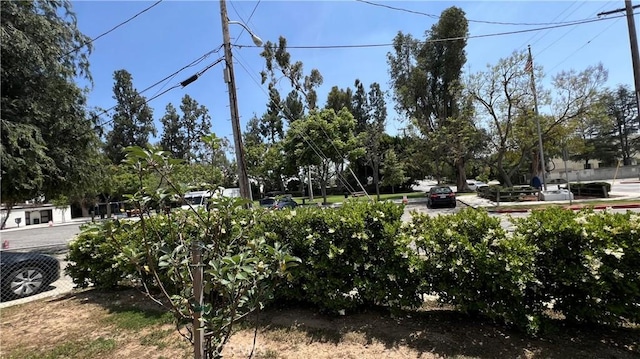 view of yard with view of wooded area