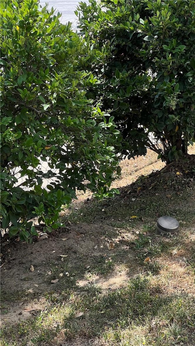 view of undeveloped land