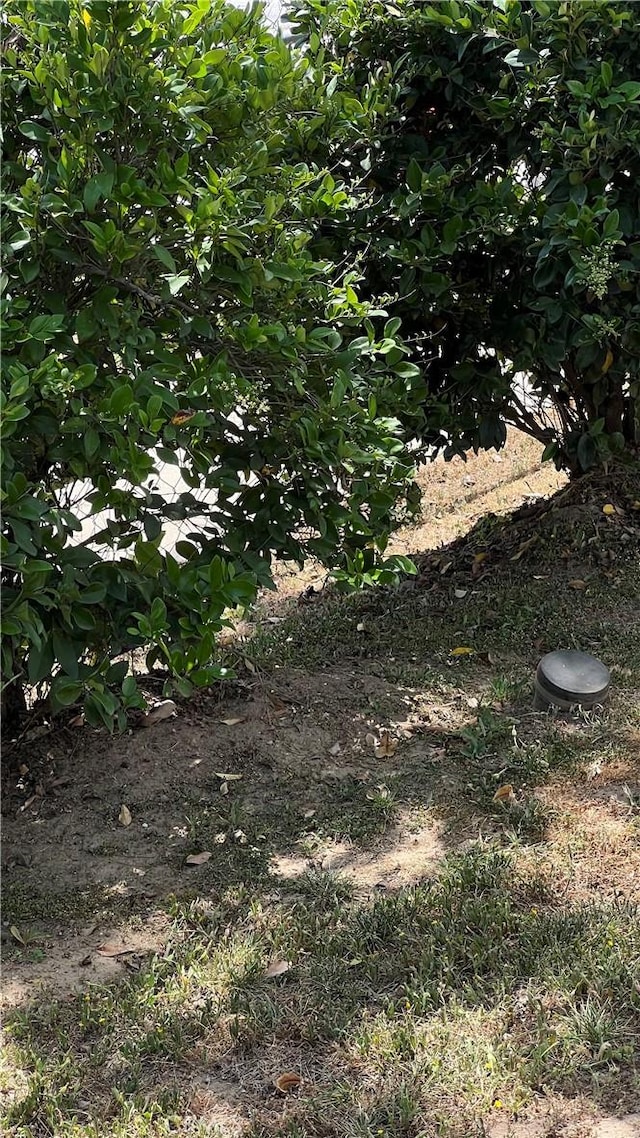 view of nature
