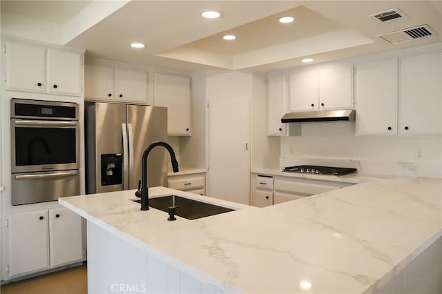 16109 Chuka Ave, Palmdale, CA 93591 - kitchen with appliances with stainless steel finishes, under cabinet range hood, a warming drawer, a sink, and a tray ceiling