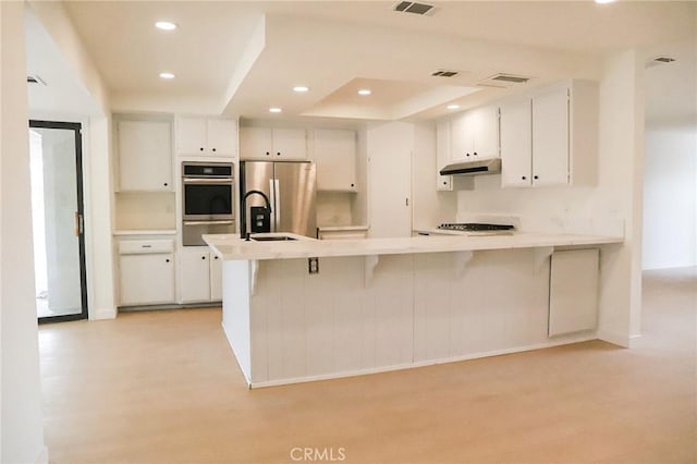 16109 Chuka Ave, Palmdale, CA 93591 - kitchen featuring appliances with stainless steel finishes, under cabinet range hood, a raised ceiling, light wood finished floors, and recessed lighting