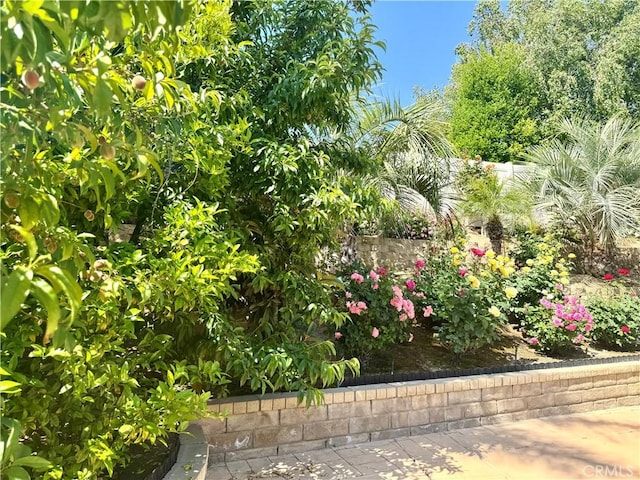 25453 Via Novia, Valencia, CA 91355 - view of yard