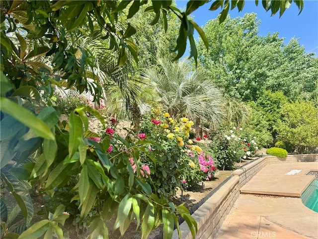 25453 Via Novia, Valencia, CA 91355 - view of patio